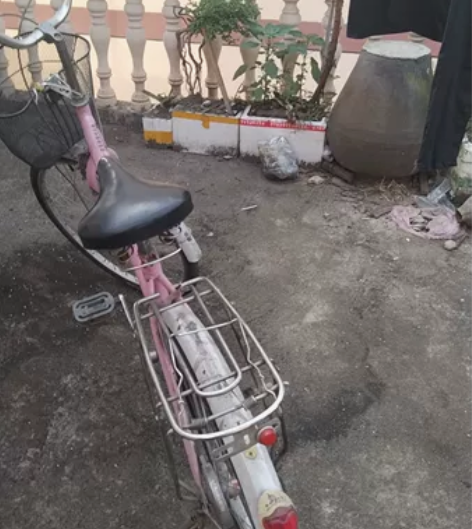 成人凤凰女士自行车。应该是24寸。在丽水缙...