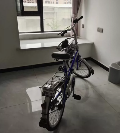 凤凰自行车，给孩子买的，孩子不会骑，闲置出...