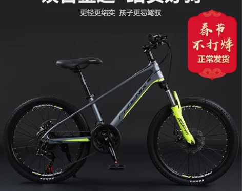 凤凰儿童自行车24寸镁合金一体轮变速山地学...