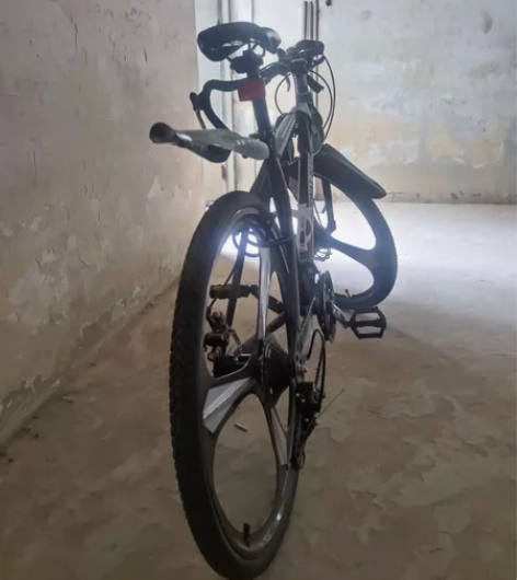 全新ICOLOUR 公路自行车成人男变速山...