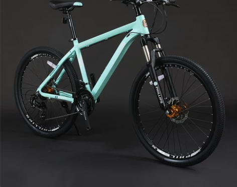 菲利普Benjamin系列山地自行车男女成...