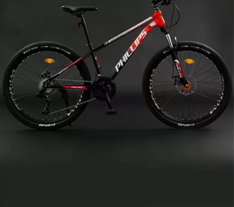 飞利浦山地自行车 现全新出售，所有配件都是...