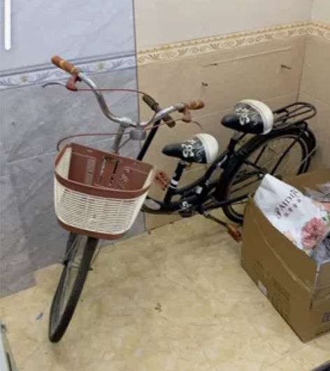 广东汕尾。自提。自提。自提。自行车女亲子母...