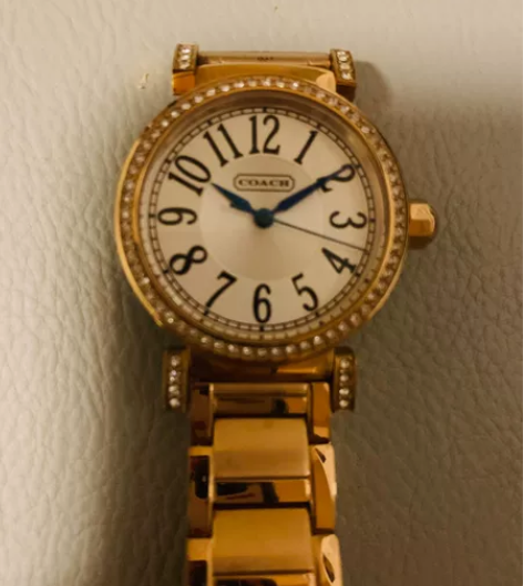 蔻驰经典款 假一罚十 共二款 9新左右 无...