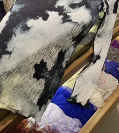 【全网最低血亏】片山文三郎bunzabur...