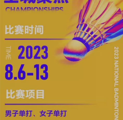 全国羽毛球单项锦标赛全赛程通票，可转赠，比...