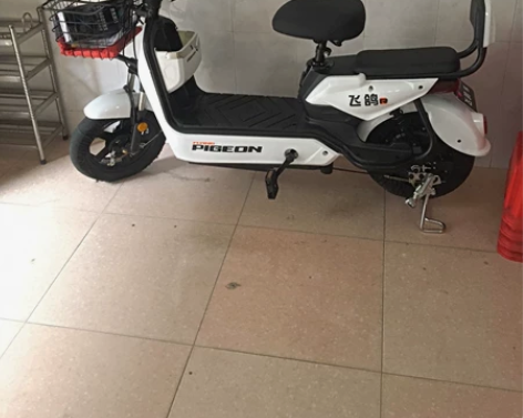 飞鸽新国标电动车成人电动自行车48V小型电...