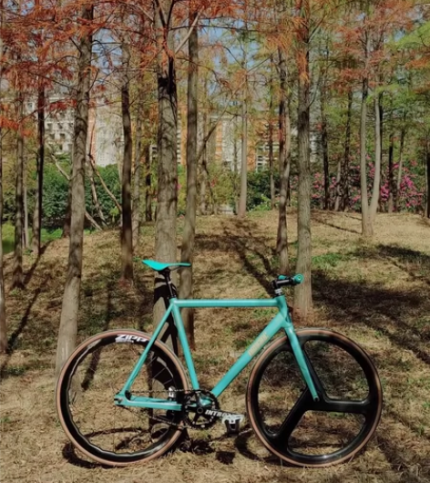 drug碳架56码固齿死飞 drug碳架车...