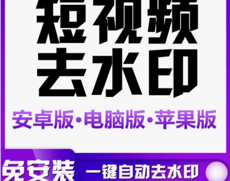 短视频去水印 抖音快手小红书西瓜视频解析