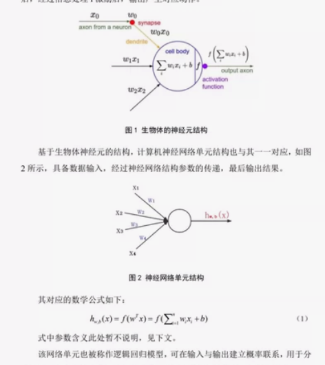对新手友好的入门级yolo详解说明文档 包...