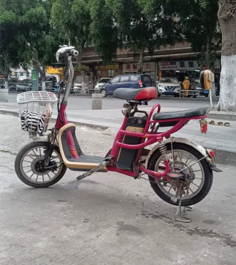 台铃48V锂电车闲置出售490元，前刹是油...