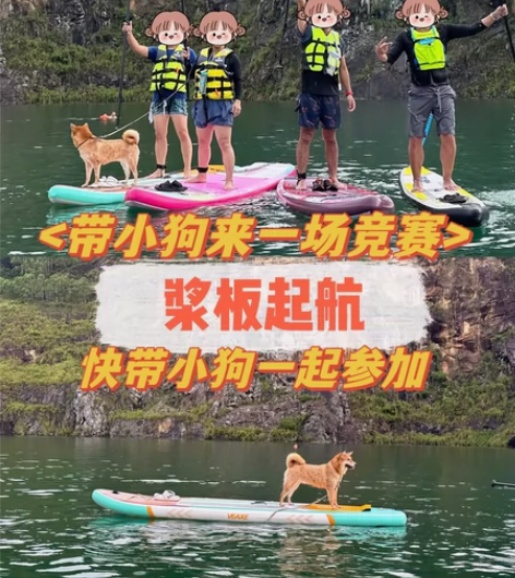 带上狗狗一起get水上新技能吧！让狗子分分...