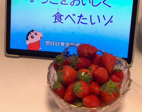 联想小新pad plus （自用的，为了专...