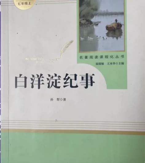 人民教育出版社 白洋淀纪事 感兴趣的话点“...