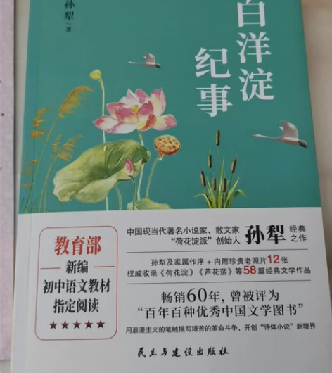 初中必读经典《白洋淀纪事》孙犁 著 赠送考...