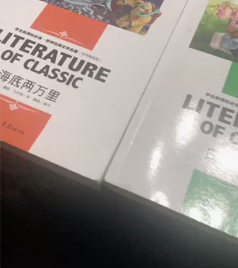 白洋淀纪事 湘行散记 海底两万里  名师精...