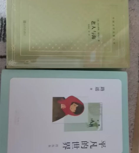 老人与海/平凡的世界/中国史简读/复活/大...