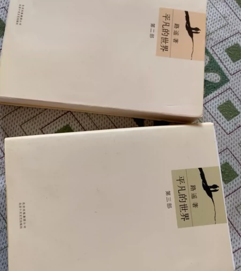 平凡的世界 书店买的 没看几次当时看的电视...