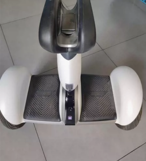 九号 平衡车 ninebot plus 胖...