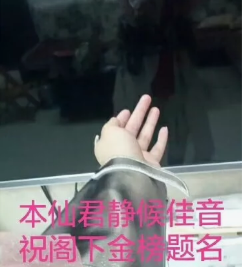 【喵屋小铺】王者荣耀诸葛亮武陵仙君cos ...