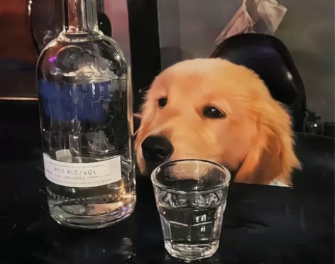 原神，崩铁代肝，各位板板们来瞧一瞧看一看！...