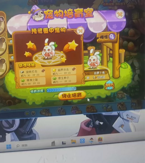 洛克王国稀有宠物蛋今日只剩下三只粉萝卜兔有...