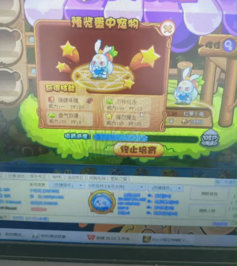 洛克王国红萝卜兔宠物蛋 需要先私聊