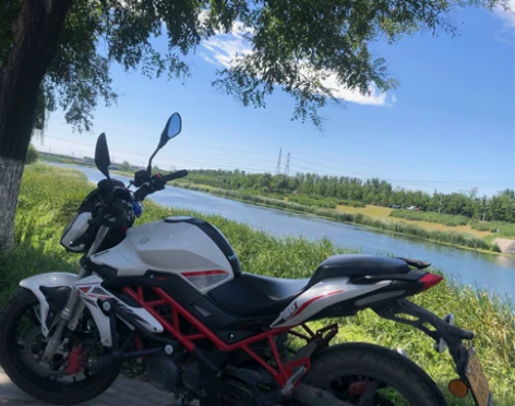 急出捡漏实表2000+贝纳利红宝龙150只...