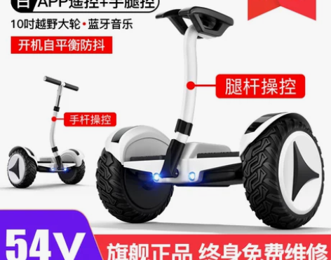 【春节不打烊】领奥官方旗舰店2021新款电...