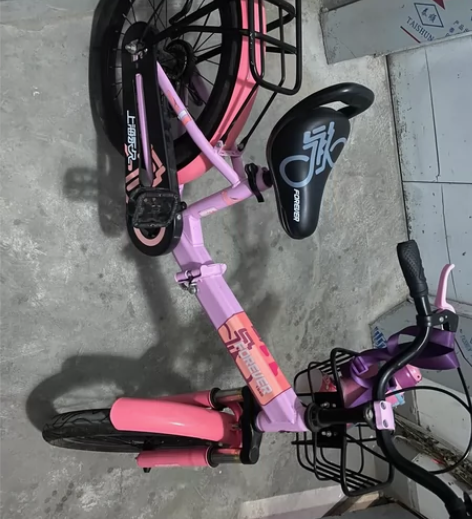 搬家出,永久可折叠的自行车,18寸,6岁1...