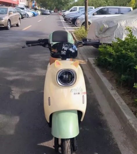 杭州同城转手一台新国标二手电瓶车，车子带黄...