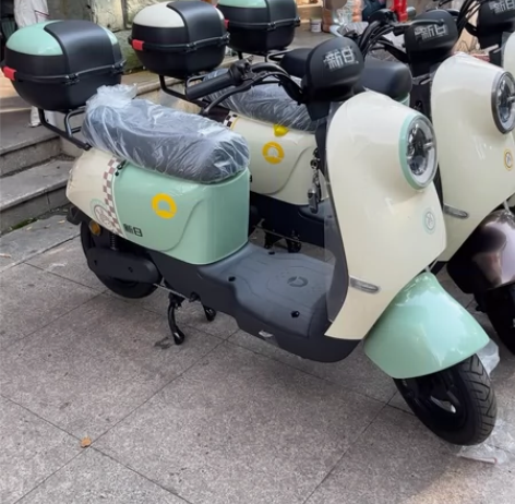 新日风铃品牌电动车 可以跑50-60公里 ...