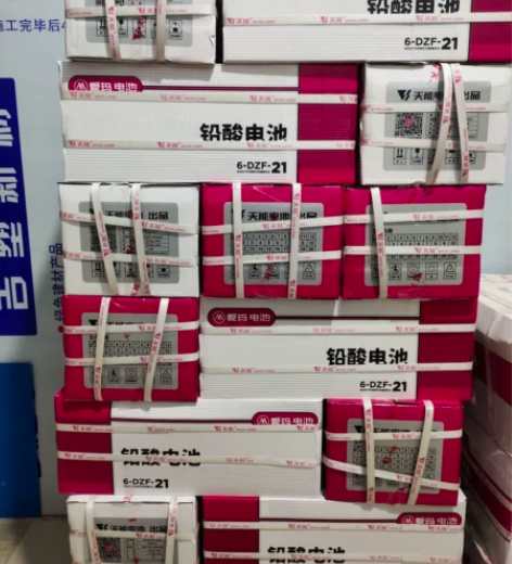 天能爱玛原装电池48V21AH，电动车电瓶，异形电池，特殊型...