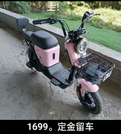 绿源锂电电动车,4824锂电,液冷电机,续...