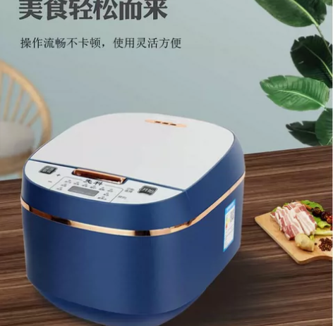 全新先科烫金电饭煲，厂家直销，5L大容量，...