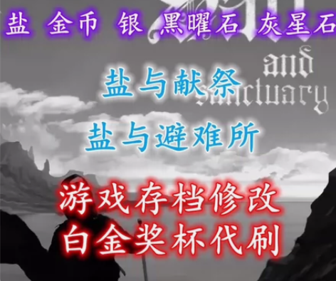 PS4 PS5盐与避难所 修改存档 白金奖...