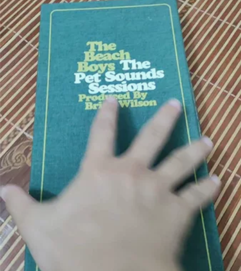 the beach boys  沙滩男孩乐...