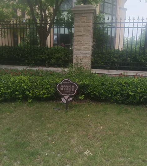 驻马店游泳教学，有专业教练证书，自己坚持游...