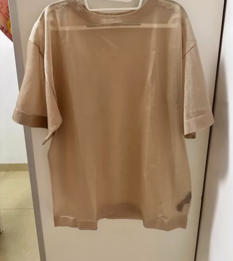 ZARA，透明外衣。罩衫。S码，包邮不议价...