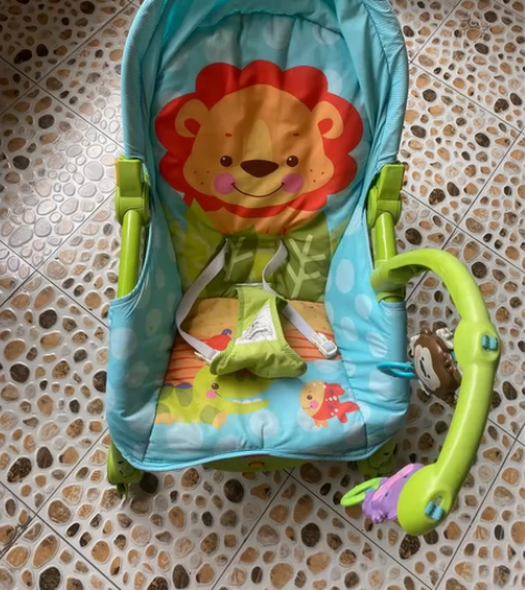 费雪躺椅，孩子小时候很喜欢，也很好清洗，需...