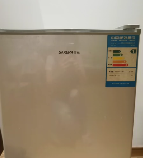 66元出闲置小型冰箱 能满足基本的制冷 右...