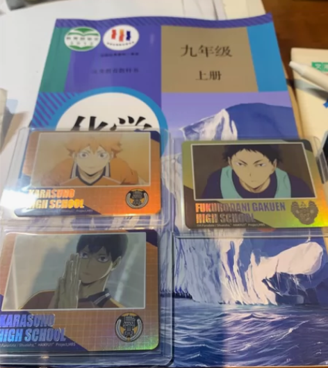 排球少年星河动漫拍立得影山日向小红标价是三...