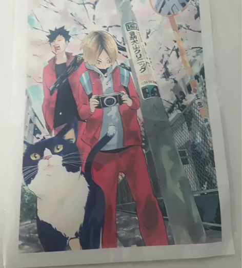 樱花树明信片有伤非国现 需要等，可预留不收...