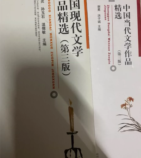 中国现代文学作品精选第三版 自用书 笔记很...