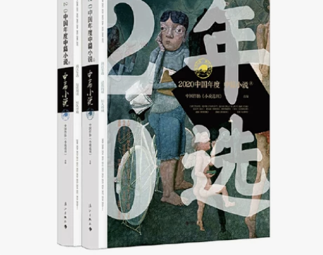 【当当网 正版书籍】2020中国年度中篇小...